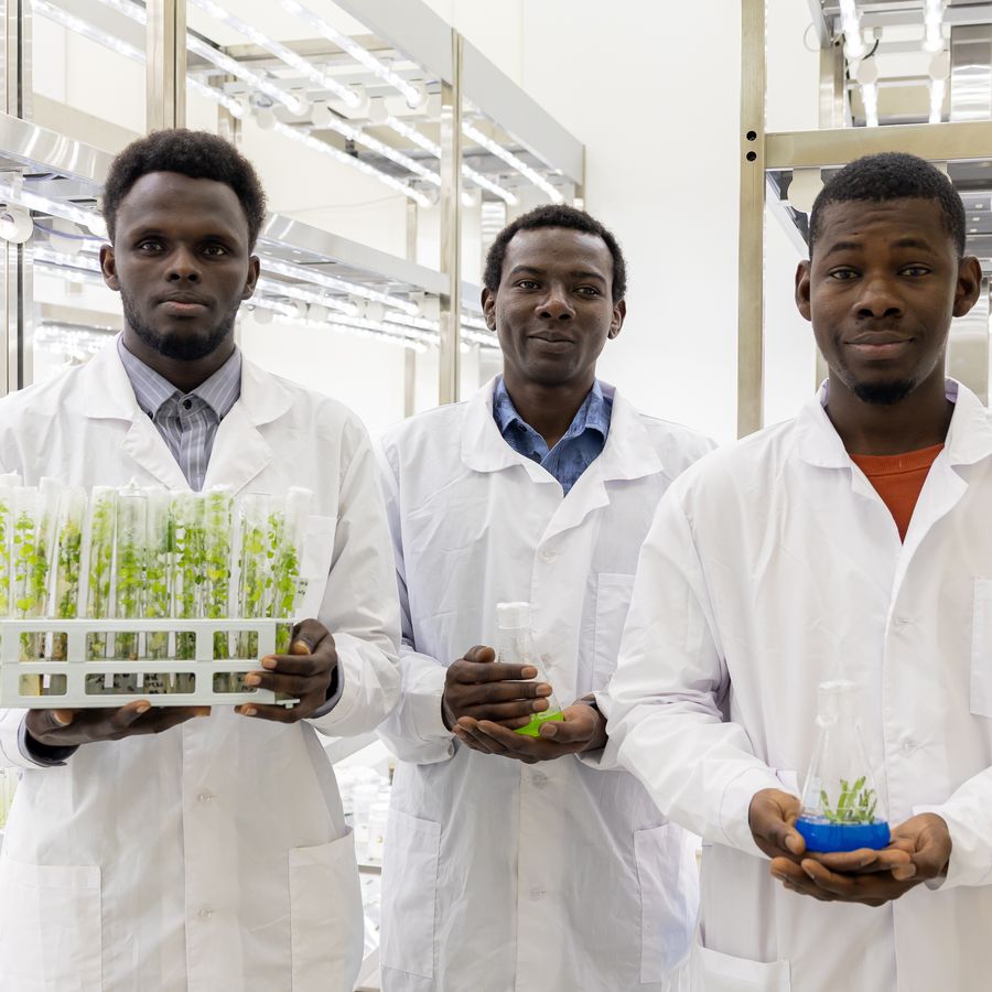 Three students in lab coats holding plant cultures