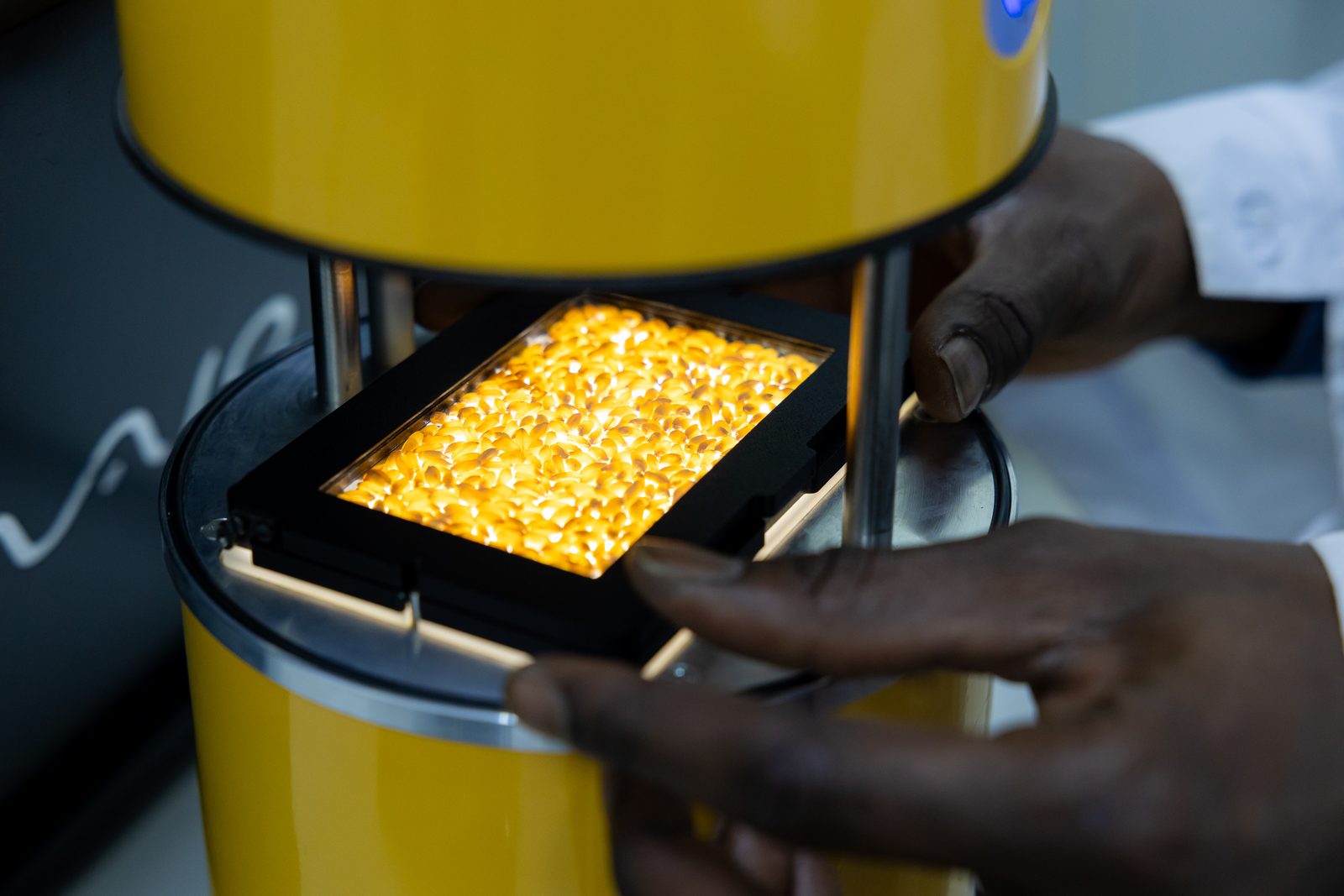 A student analysing a grain sample in a laboratory instrument